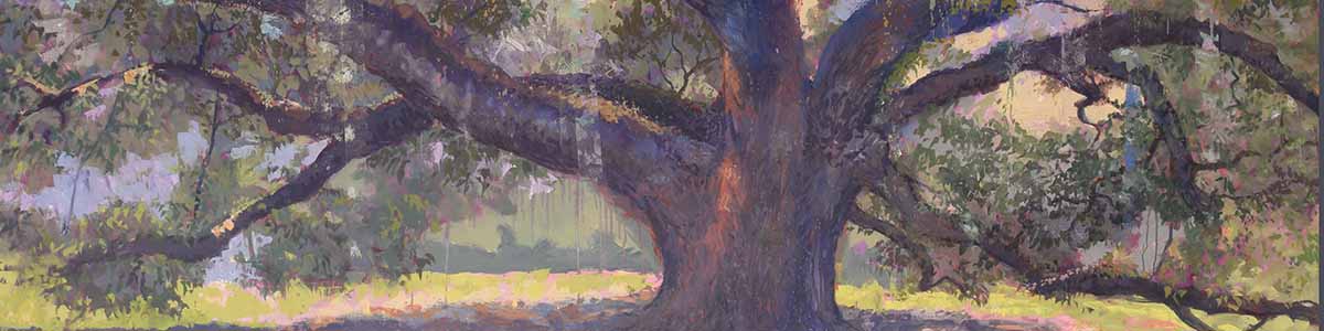 live oak painting by Shane McDonald
