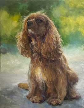oil painting of a red-brown King Charles Spaniel looking up