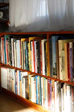 Shelves full of art books for artists